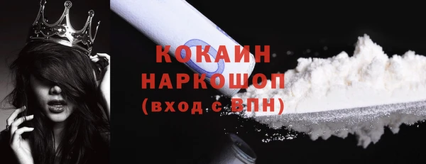соль ск Артём