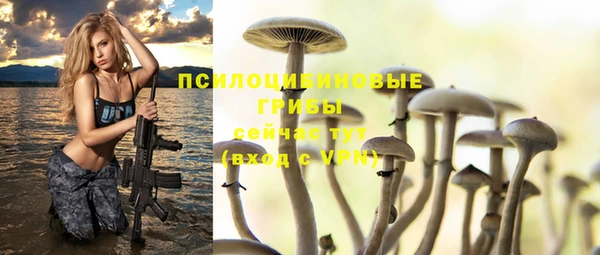 амф Осинники