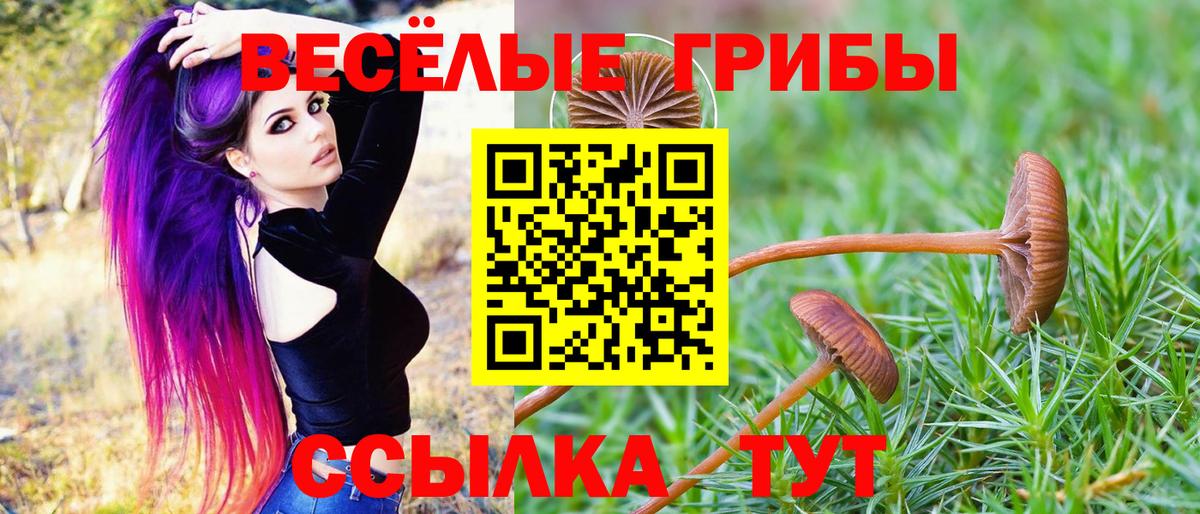 Псилоцибиновые грибы Psilocybine cubensis  Галлюциногенные грибы Cubensis  Коммунар  хочу   Вход с VPN 