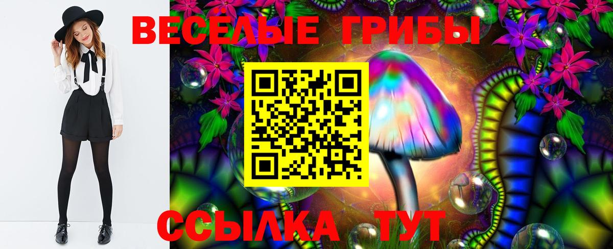 Псилоцибиновые грибы Cubensis Коммунар